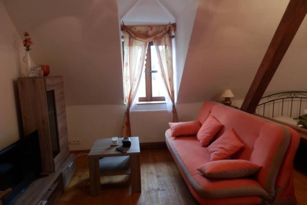 Zamecek Zdiky - Moderni Velky Apartman Bujanov Exteriör bild